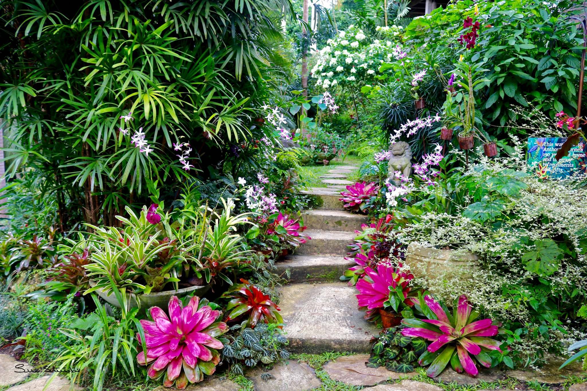 hunte's gardens Barbados