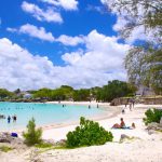 amazing beaches in Barbados